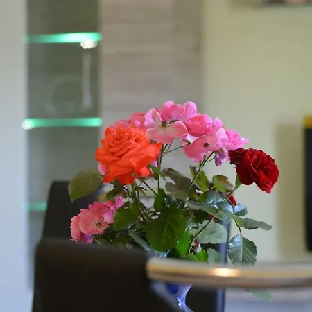 Apartman Apartman Susic Policnik