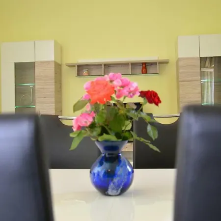 Apartman Susic *